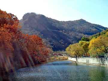 天天彩好彩天天免费，富川瑶族自治seo程序